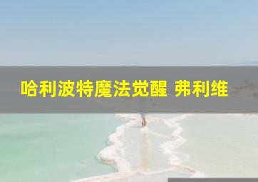 哈利波特魔法觉醒 弗利维